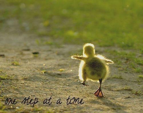 Getting Ready for Motherhood Step by Step ...